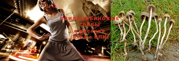 прущий лед Аркадак