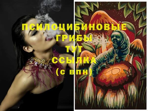 соль ск Балабаново