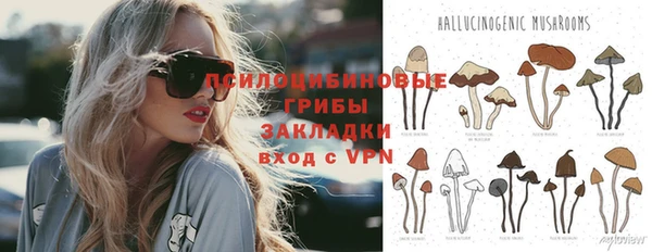 прущий лед Аркадак