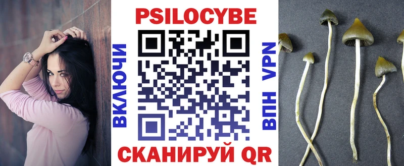 Галлюциногенные грибы Cubensis  Усть-Лабинск 
